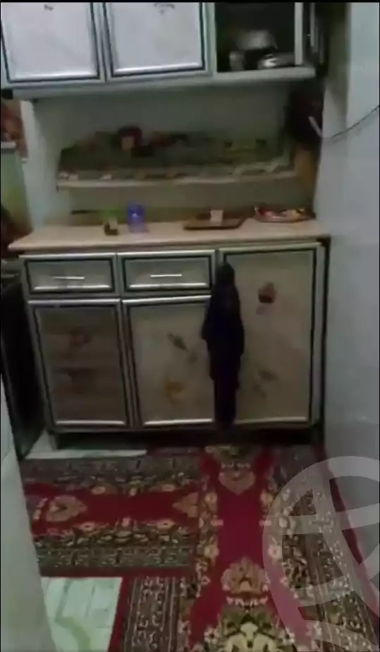 https://aqarmap.com.eg/en/listing/6396604-for-sale-qalyubia-shubra-el-khaima-bahtim-metwally-el-shaarawy-st