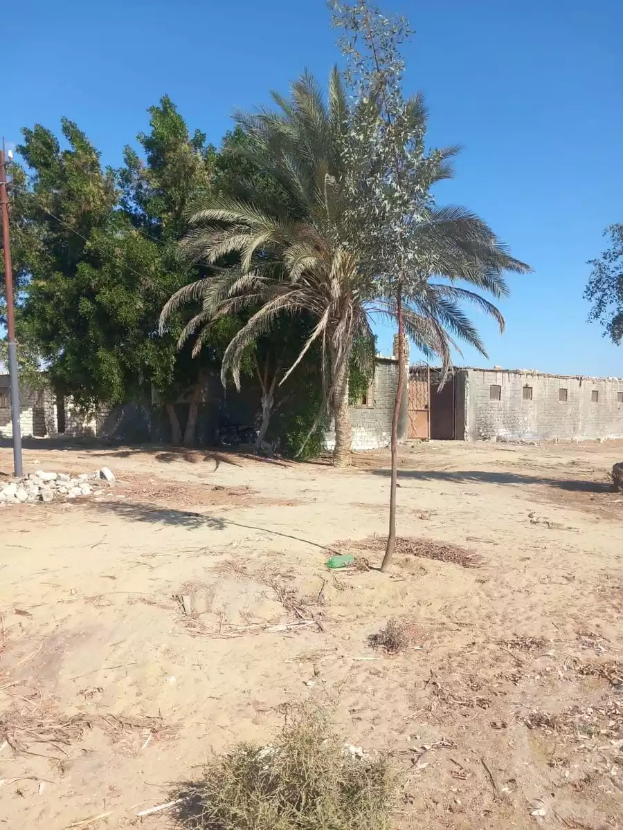 https://aqarmap.com.eg/ar/listing/6401761-for-sale-beheira-wadi-el-natrun