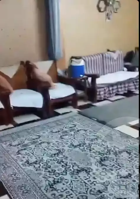 https://aqarmap.com.eg/ar/listing/6411545-for-sale-qalyubia-shubra-el-khaima