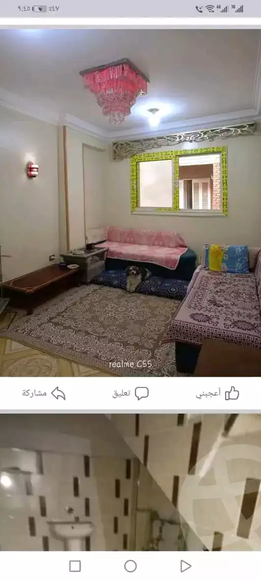 https://aqarmap.com.eg/en/listing/6443997-for-sale-cairo-el-marg-lmrj-ljdyd