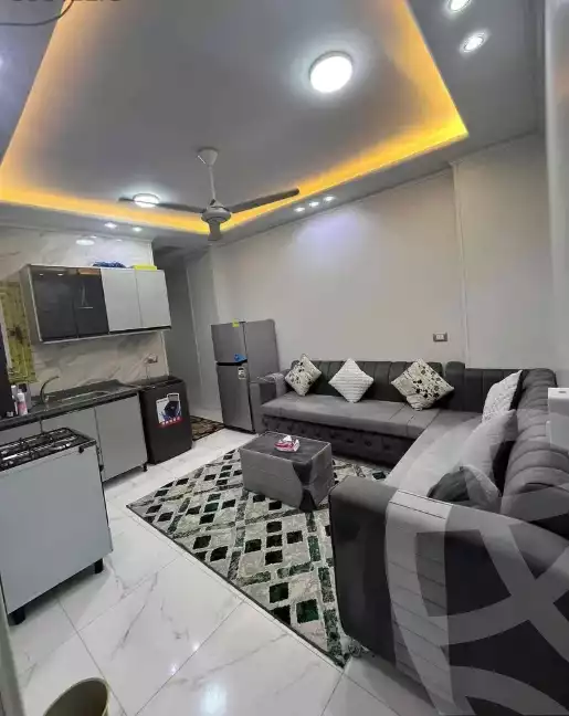 https://aqarmap.com.eg/en/listing/6478121-for-rent-dakahlia-mansoura