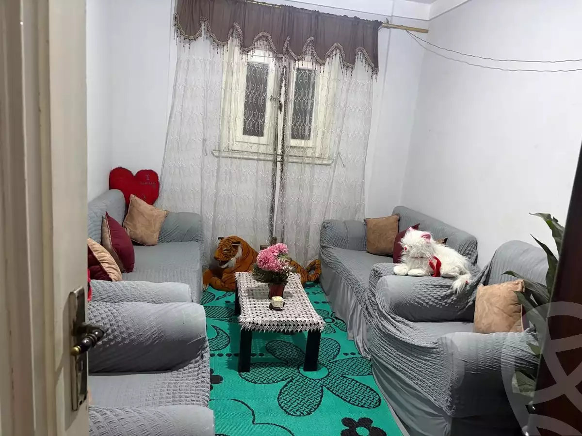 https://aqarmap.com.eg/ar/listing/6481557-for-sale-alexandria-el-dekhela