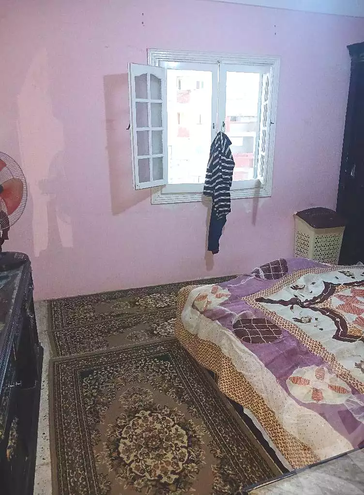https://aqarmap.com.eg/en/listing/6482929-for-sale-alexandria-l-jmy-el-hanouvel