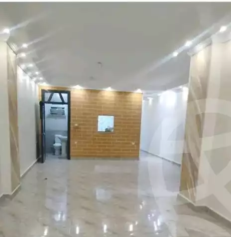 https://aqarmap.com.eg/en/listing/6513526-for-rent-cairo-el-haram-el-maryotya-al-bahnasawi-st