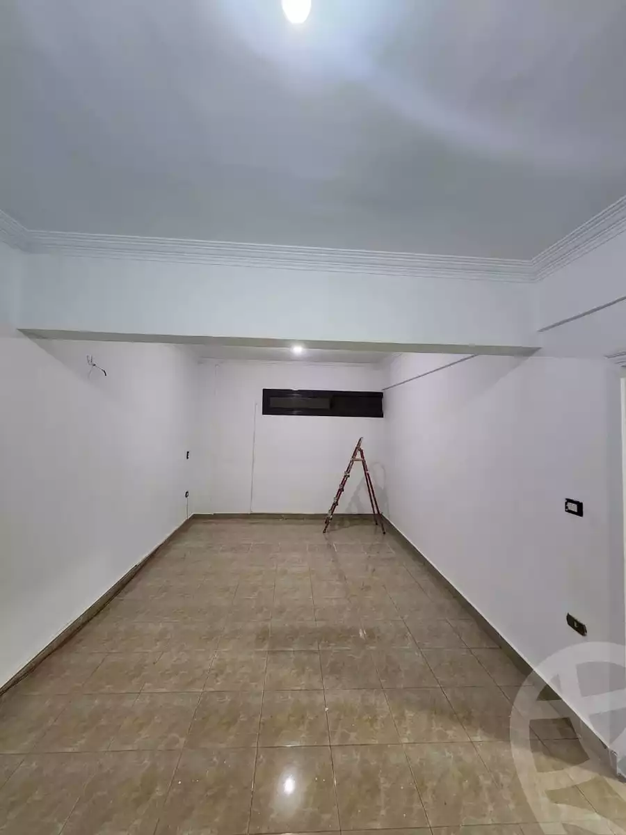 https://aqarmap.com.eg/en/listing/6519003-for-rent-cairo-new-cairo-90th-street-northern-90th-street