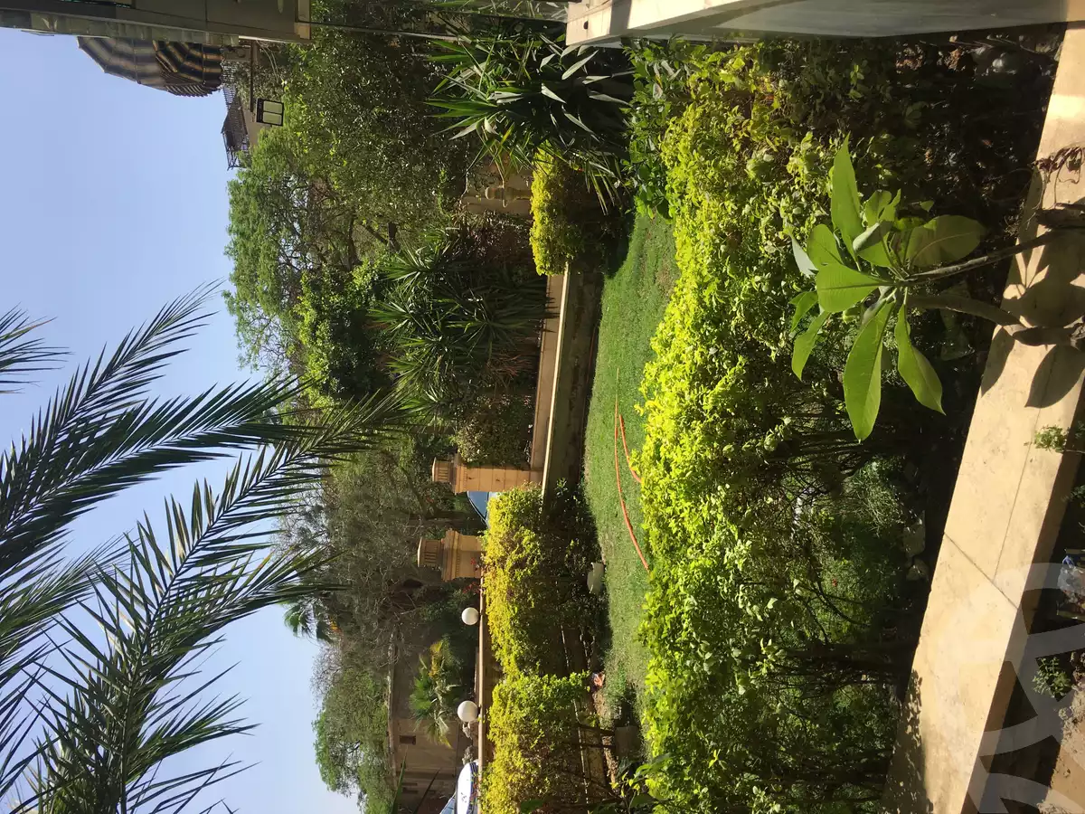 https://aqarmap.com.eg/en/listing/6383758-for-rent-cairo-el-maadi-el-maadi-el-gededa-street-285