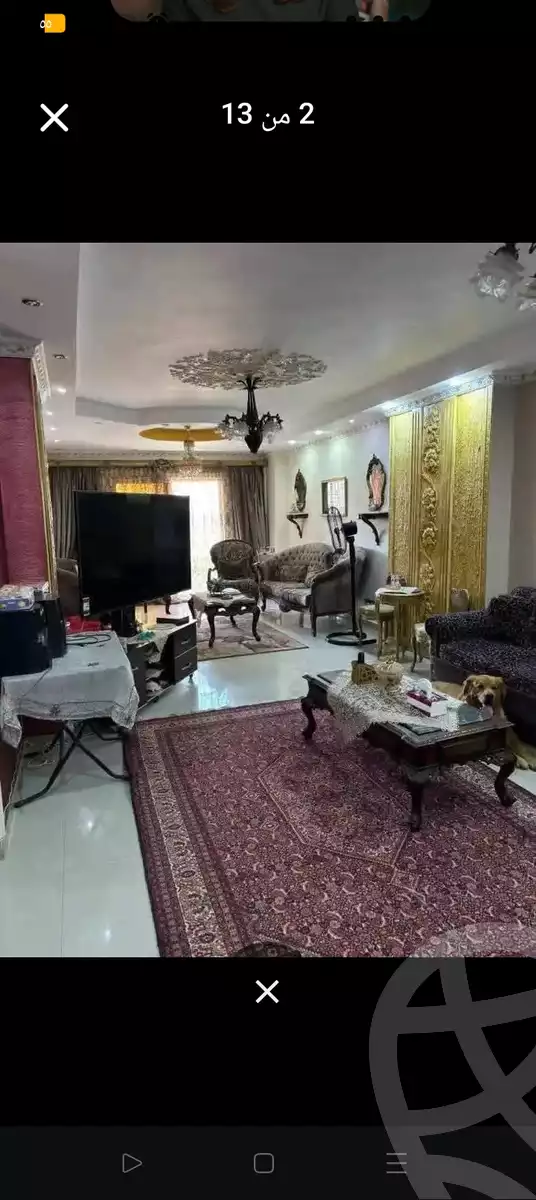 https://aqarmap.com.eg/en/listing/6524157-for-sale-alexandria-l-jmy-lbytsh-el-reyad-st