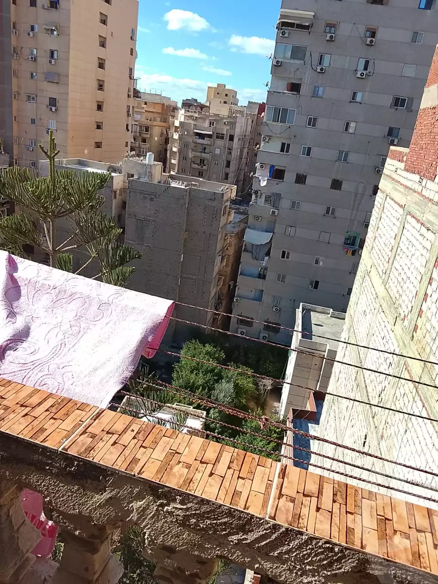 https://aqarmap.com.eg/en/listing/6531676-for-sale-alexandria-l-jmy-lbytsh-al-aeda-al-kadema-st