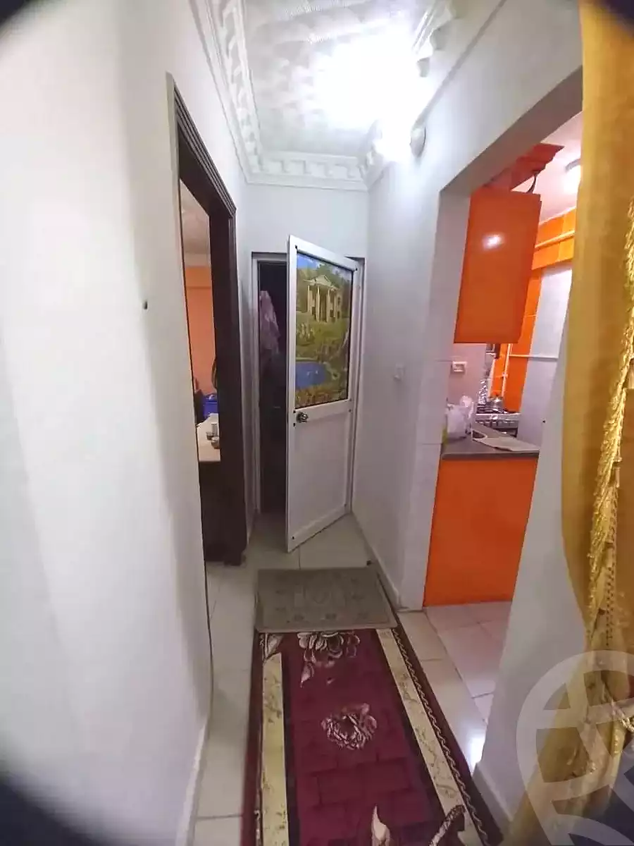 https://aqarmap.com.eg/ar/listing/6532161-for-sale-alexandria-l-jmy-lbytsh-qased-kareem-st