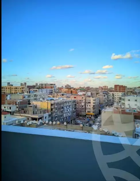 https://aqarmap.com.eg/ar/listing/6534325-for-sale-alexandria-l-jmy-bw-ywsf