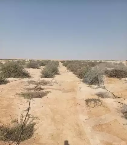 https://aqarmap.com.eg/en/listing/6539301-for-sale-beheira-wadi-el-natrun-hai-el-zohour
