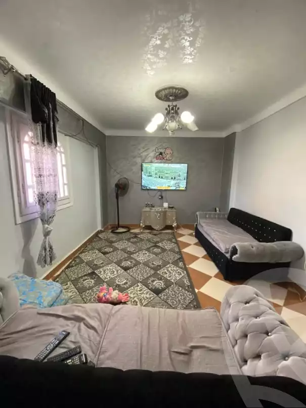 https://aqarmap.com.eg/en/listing/6542155-for-sale-alexandria-l-jmy-lbytsh-al-samalehy-2-st