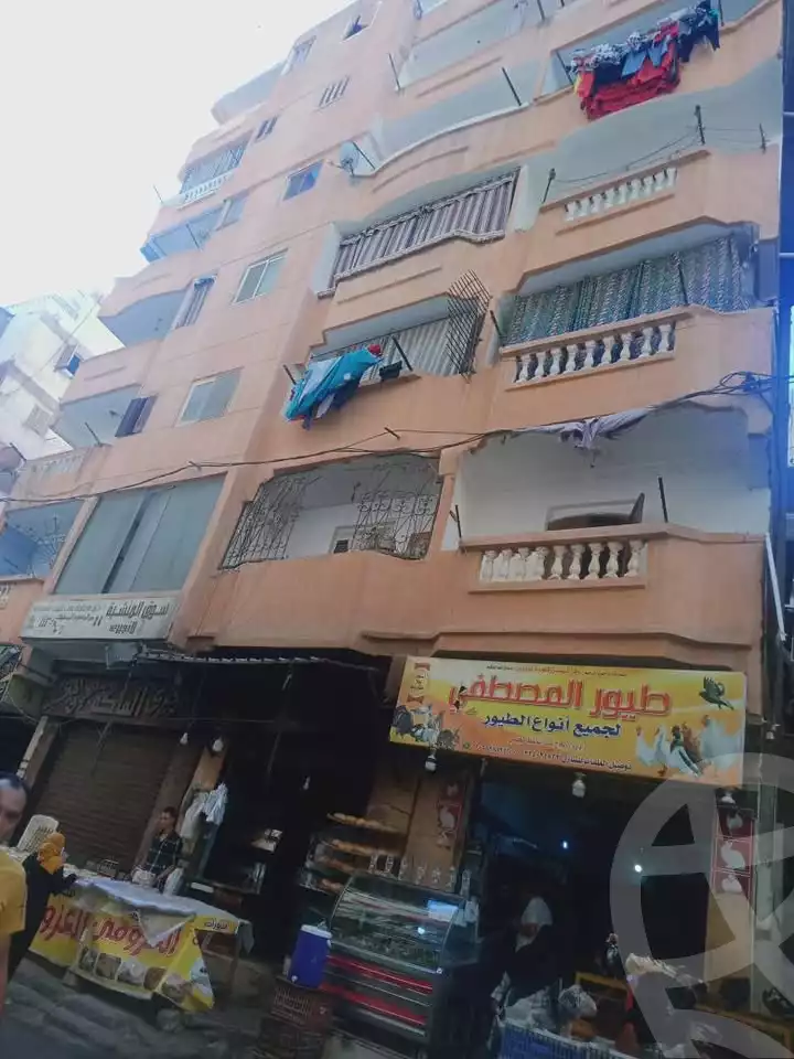 https://aqarmap.com.eg/ar/listing/6545893-for-rent-alexandria-l-jmy-lbytsh-el-hanafeya-st
