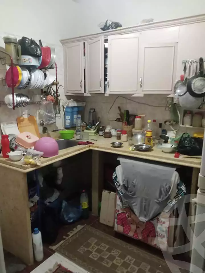 https://aqarmap.com.eg/ar/listing/6547083-for-sale-alexandria-el-amreya