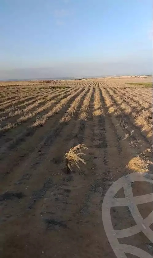 https://aqarmap.com.eg/ar/listing/6559156-for-sale-beheira-wadi-el-natrun