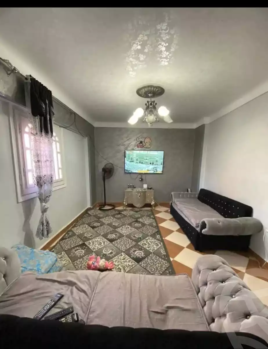 https://aqarmap.com.eg/ar/listing/6565308-for-sale-alexandria-l-jmy-lbytsh-al-samalehy-2-st