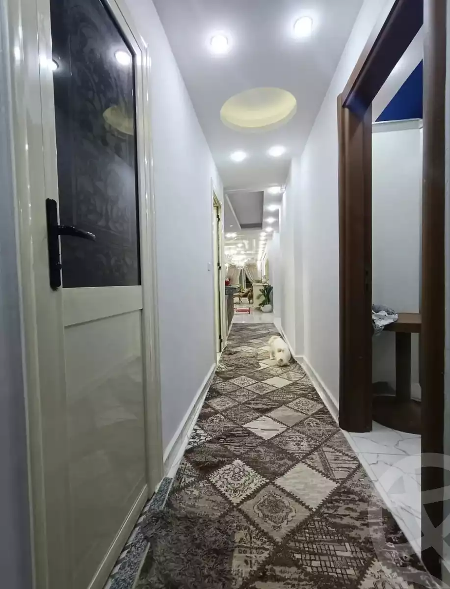 https://aqarmap.com.eg/en/listing/6566800-for-sale-alexandria-l-jmy-lbytsh-bianchiii