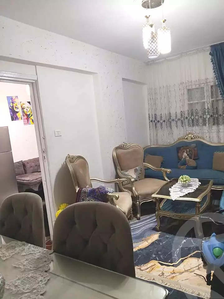 https://aqarmap.com.eg/ar/listing/6575102-for-sale-alexandria-el-asafra-shr-45