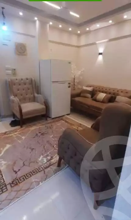 https://aqarmap.com.eg/en/listing/6575651-for-rent-cairo-manial-manial-st