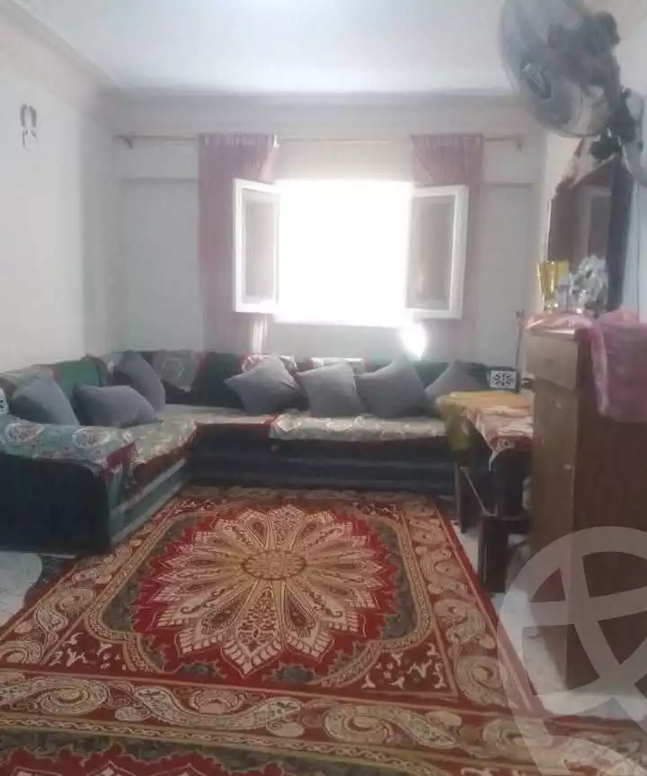 https://aqarmap.com.eg/en/listing/6577339-for-sale-alexandria-l-jmy-lbytsh