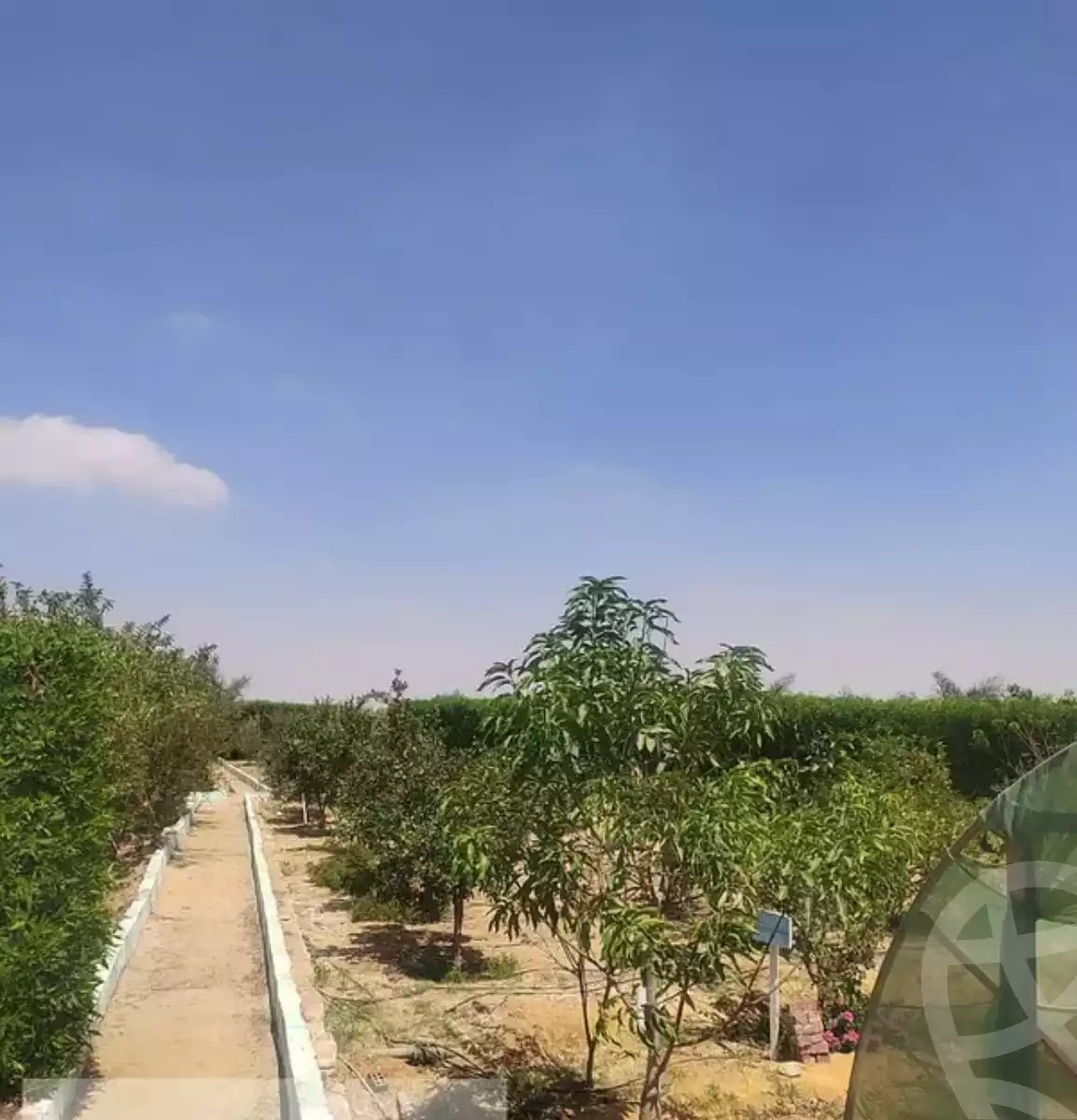 https://aqarmap.com.eg/en/listing/6577943-for-sale-el-fayoum-asyut-rd