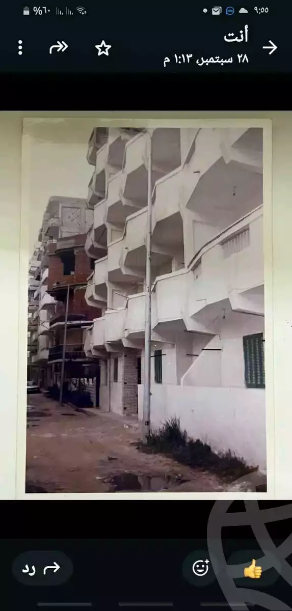 https://aqarmap.com.eg/en/listing/6581087-for-sale-alexandria-l-jmy-el-hanouvel
