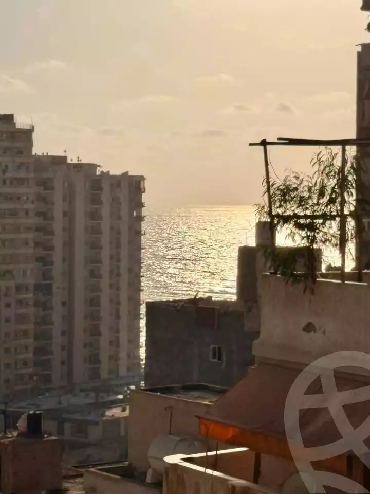 https://aqarmap.com.eg/ar/listing/6584839-for-sale-alexandria-el-asafra-shr-jml-bd-lnsr