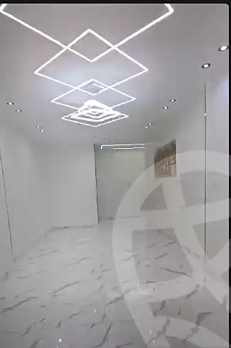 https://aqarmap.com.eg/en/listing/6591120-for-sale-cairo-faisal-el-lebeny