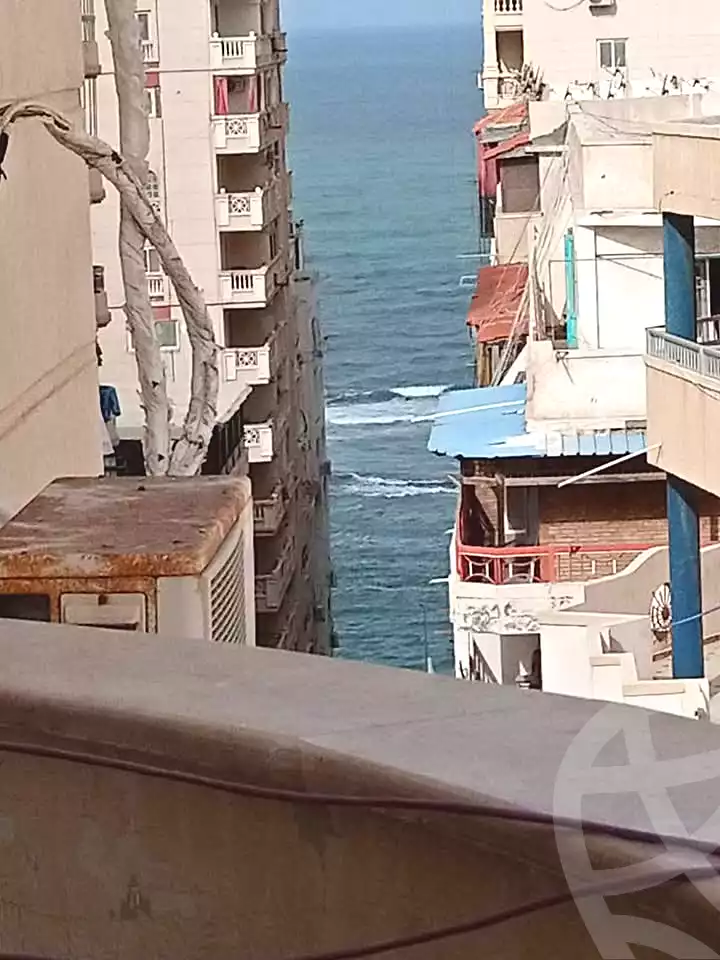 https://aqarmap.com.eg/ar/listing/6595636-for-sale-alexandria-el-mandara-abd-el-haleem-mahmoud-st