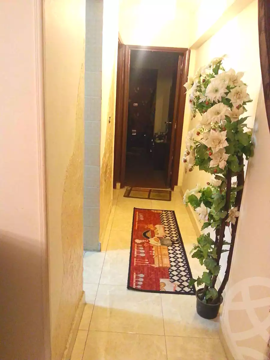 https://aqarmap.com.eg/en/listing/6607345-for-sale-cairo-ain-shams-ain-shams-el-sharkia