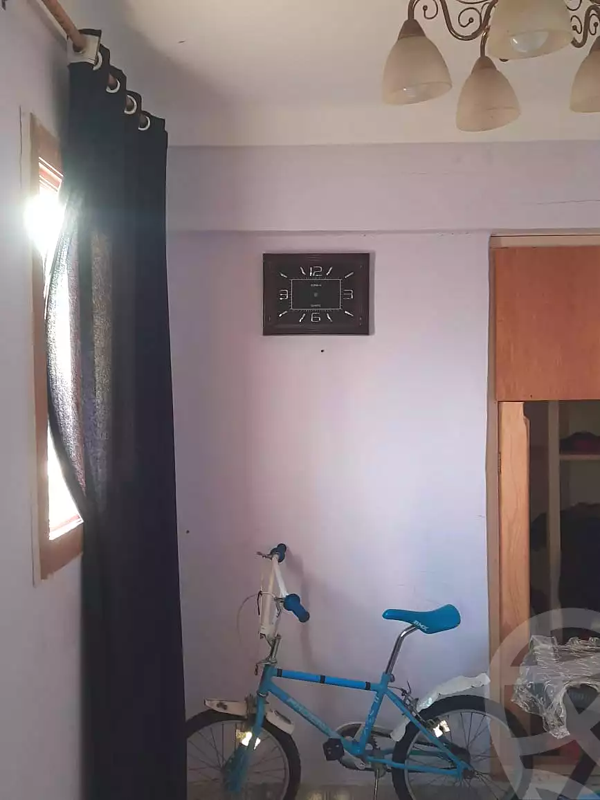 https://aqarmap.com.eg/en/listing/6609955-for-sale-alexandria-el-max