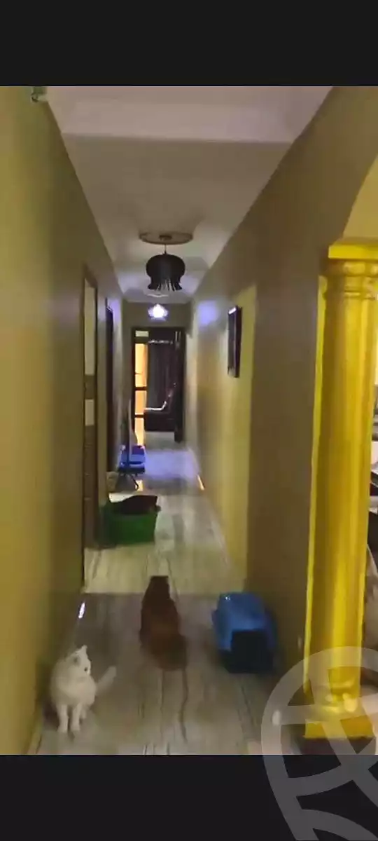 https://aqarmap.com.eg/ar/listing/6611835-for-sale-cairo-faisal-el-arbaeen-st