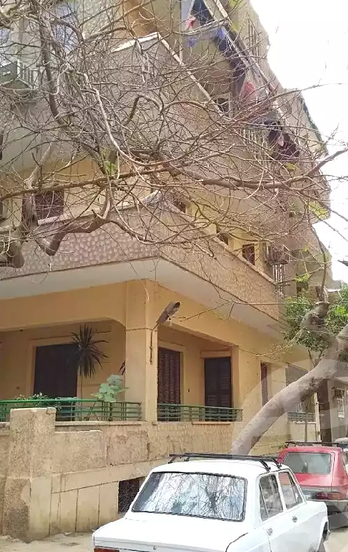 https://aqarmap.com.eg/en/listing/6134507-for-sale-cairo-dokki-manteqt-nadi-el-syd