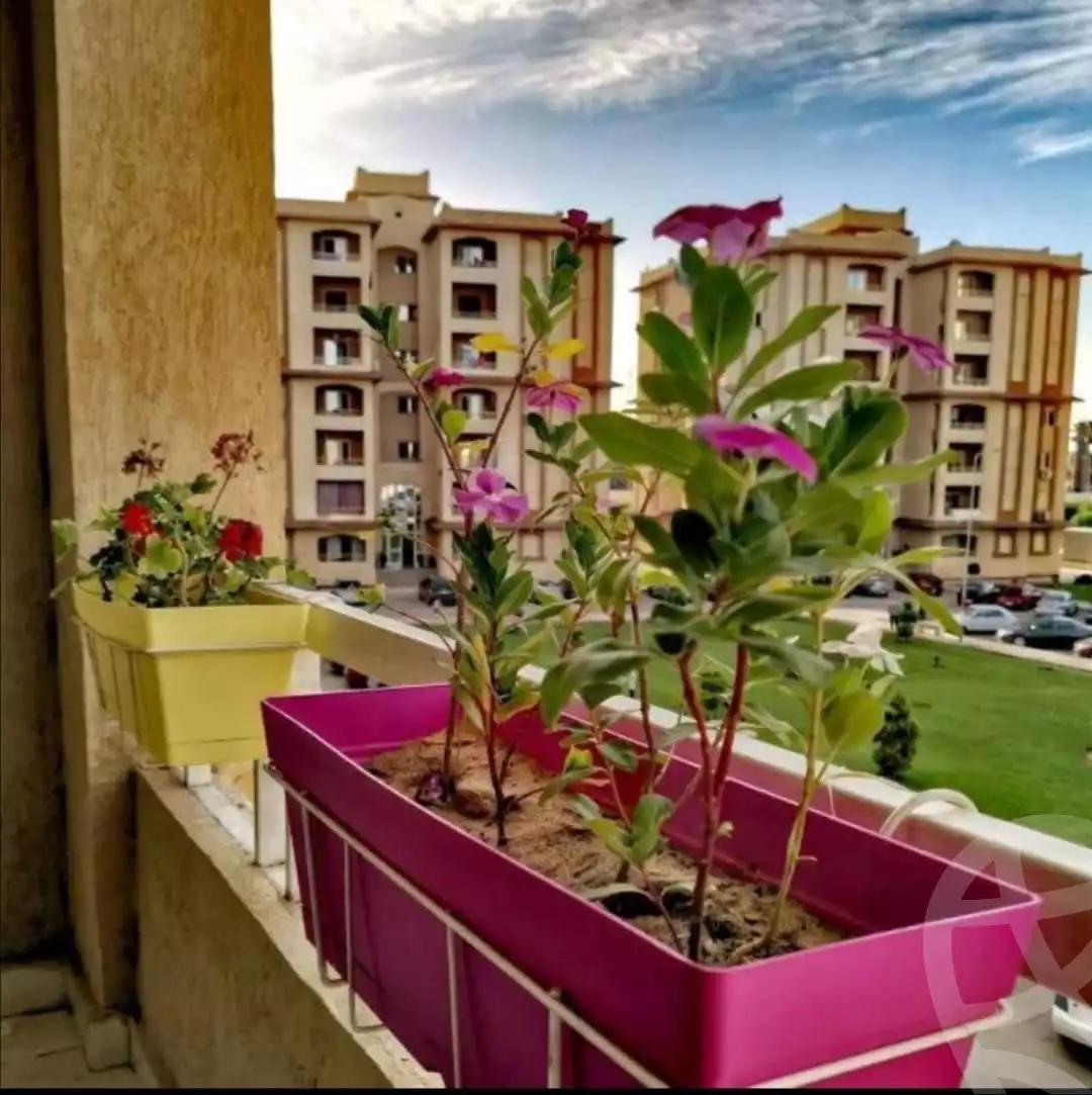https://aqarmap.com.eg/ar/listing/6619309-for-sale-ismailia-ismailia-city-ismailia-city