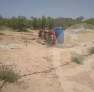 https://aqarmap.com.eg/ar/listing/6626645-for-sale-beheira-wadi-el-natrun