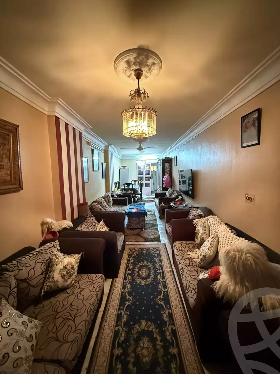 https://aqarmap.com.eg/ar/listing/6629864-for-sale-alexandria-el-asafra-ali-bahgat-al-deryni-st