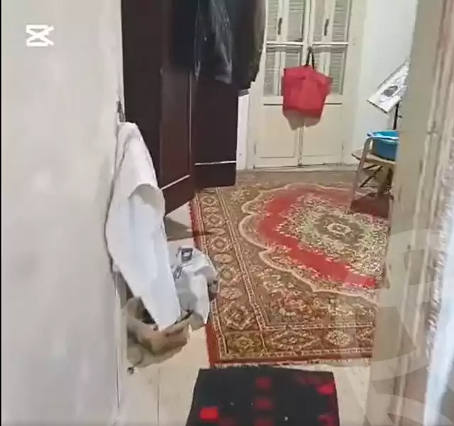 https://aqarmap.com.eg/ar/listing/6640466-for-sale-alexandria-el-mandara-nabawy-al-mohandes-st