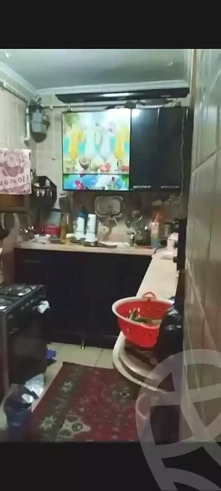 https://aqarmap.com.eg/en/listing/6642857-for-sale-alexandria-l-jmy-lbytsh-el-hay-st