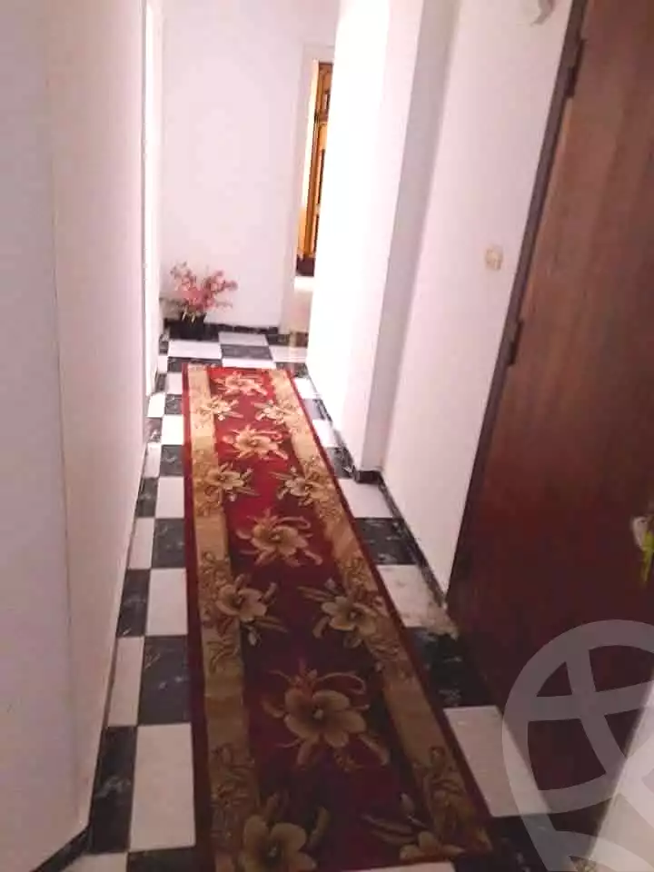 https://aqarmap.com.eg/en/listing/6643909-for-rent-alexandria-miami-iskandar-ibrahim-st