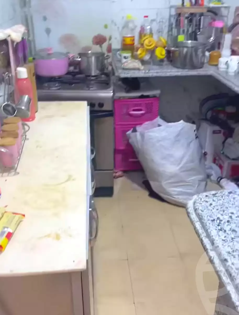 https://aqarmap.com.eg/en/listing/6644055-for-sale-alexandria-l-jmy-lbytsh-abd-el-fattah-el-talkhawy