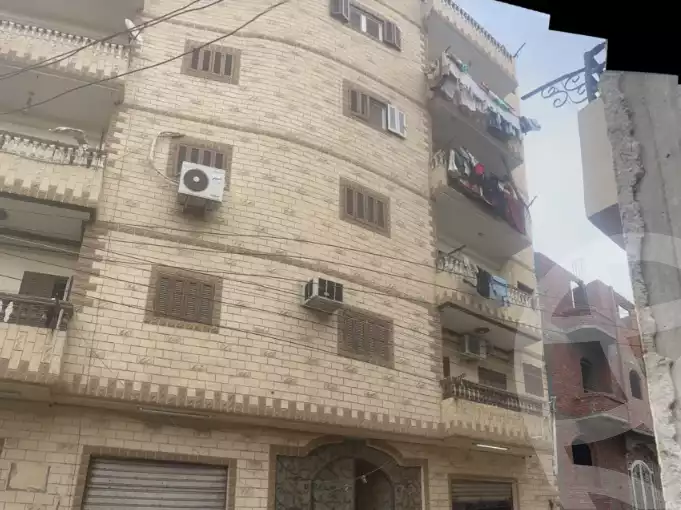 https://aqarmap.com.eg/en/listing/6645057-for-rent-sharqia-derb-negm-dyarb-negm-city