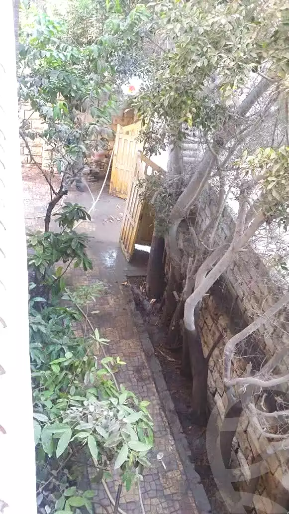 https://aqarmap.com.eg/ar/listing/6646946-for-sale-alexandria-l-jmy-lbytsh-el-hanafeya-st