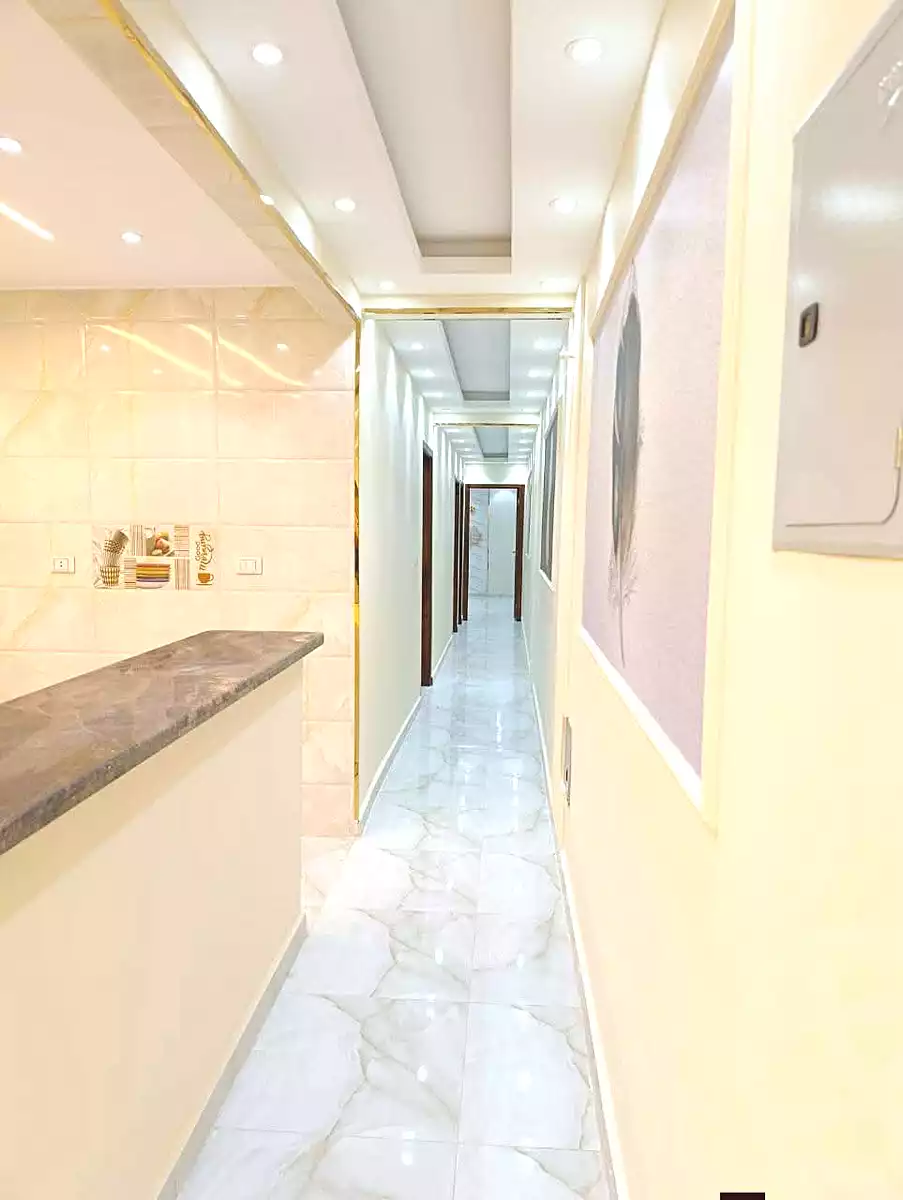 https://aqarmap.com.eg/en/listing/6647891-for-sale-cairo-faisal-el-lebeny
