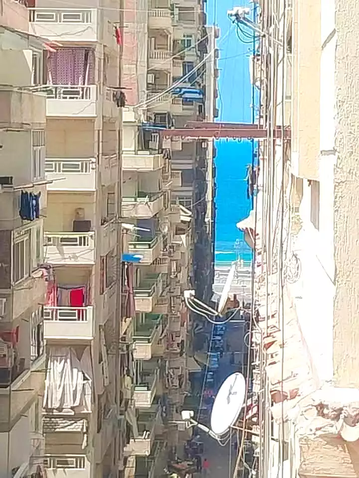 https://aqarmap.com.eg/ar/listing/6653239-for-sale-alexandria-miami-ibn-moeslh-al-arman-st