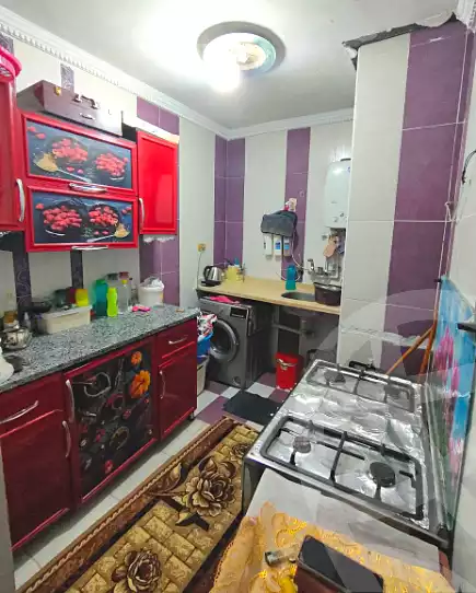 https://aqarmap.com.eg/en/listing/6654294-for-sale-alexandria-l-jmy-lbytsh-al-samalehy-2-st