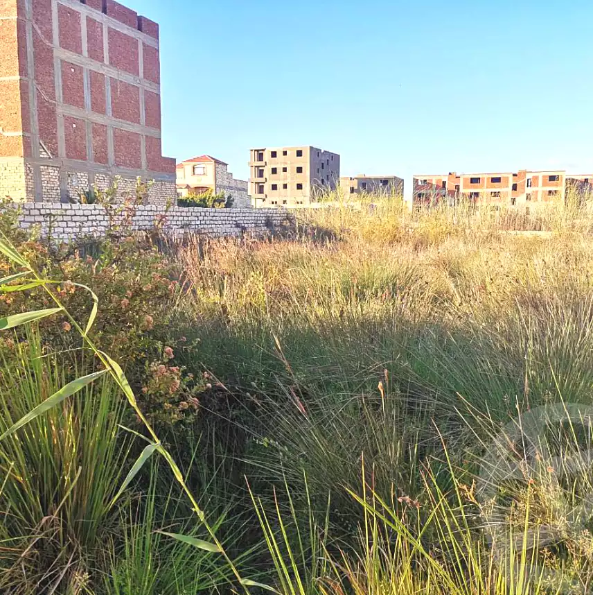 https://aqarmap.com.eg/en/listing/6654496-for-sale-alexandria-abu-talat