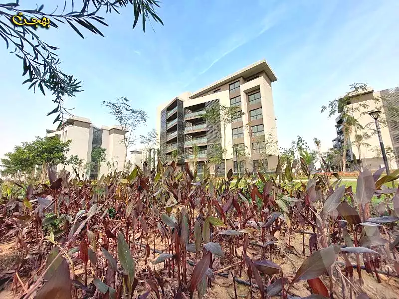 https://aqarmap.com.eg/en/listing/6655233-for-sale-cairo-new-cairo-madinaty-fifteenth-zone-buildings-madinaty-b-15