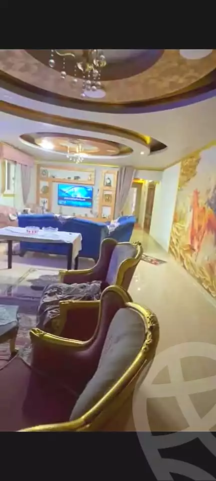https://aqarmap.com.eg/ar/listing/6657319-for-sale-alexandria-l-jmy-lbytsh-qased-kareem-st