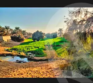 https://aqarmap.com.eg/ar/listing/6659232-for-sale-el-fayoum-tamiya-tamiyyah-city