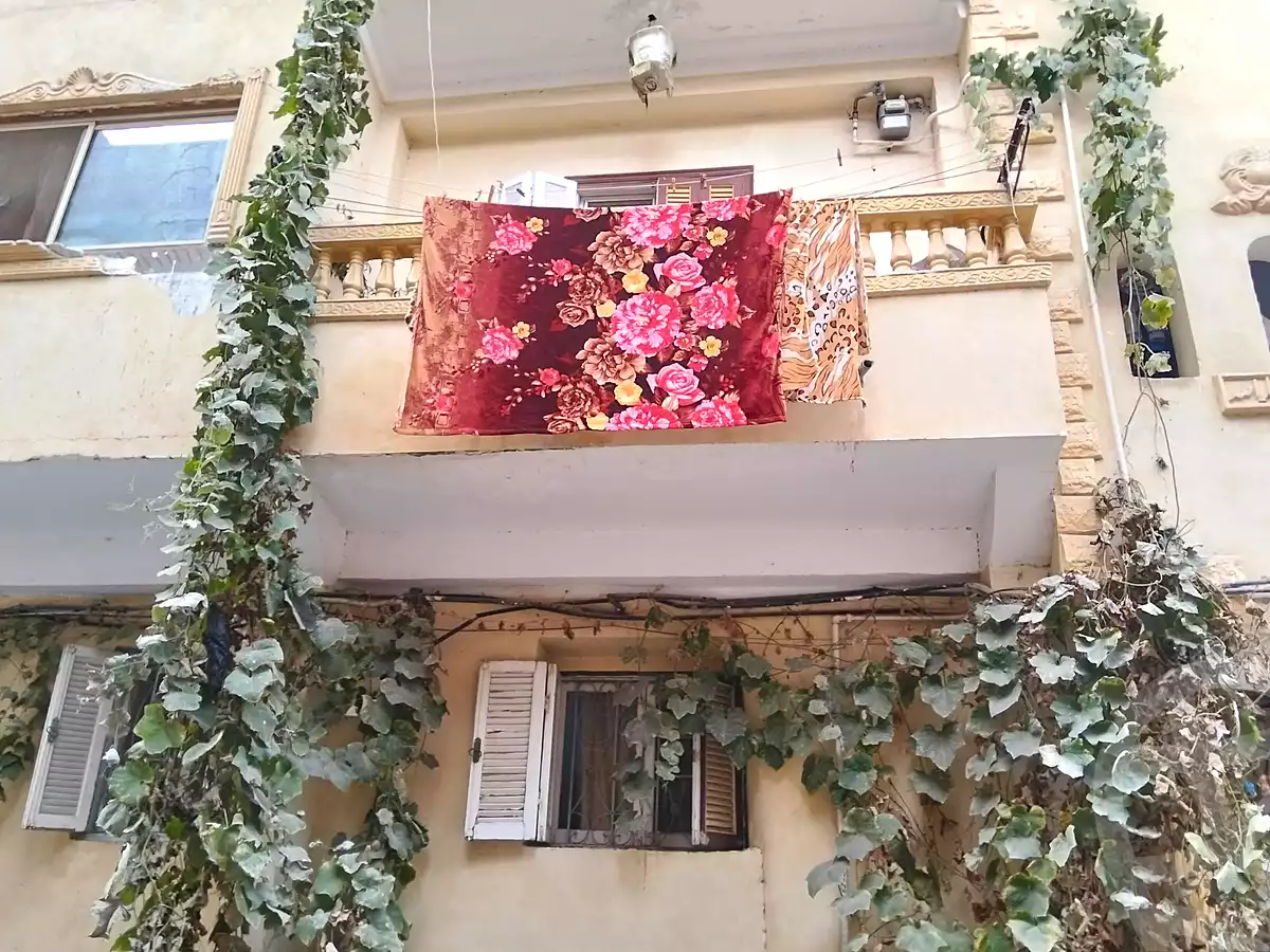 https://aqarmap.com.eg/ar/listing/6660166-for-sale-ismailia-ismailia-city-el-shaikh-zayed-st